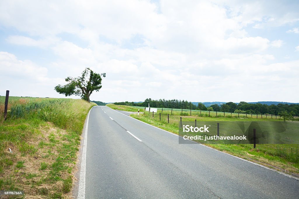 Road and single tree in valley Ruhr Single tree at road Schuir into valley Ruhr in south of Essen at summertime, Ruhrgebiet. 2015 Stock Photo