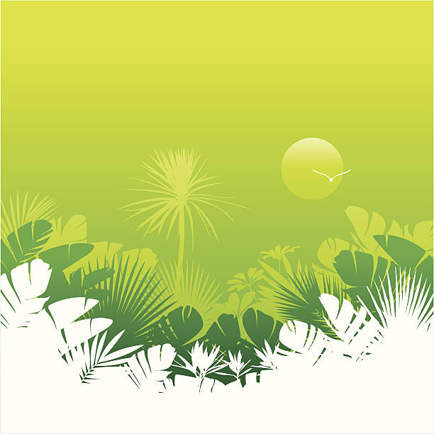 Tropical background vector art illustration