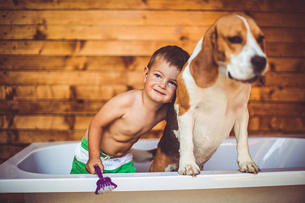 istock I love my clean dog 481968334