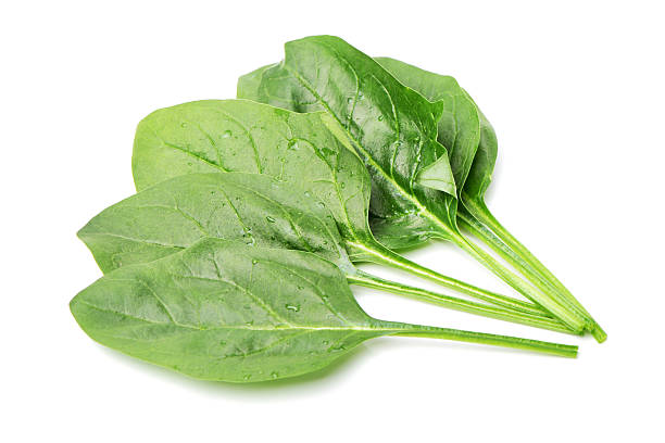 Spinach