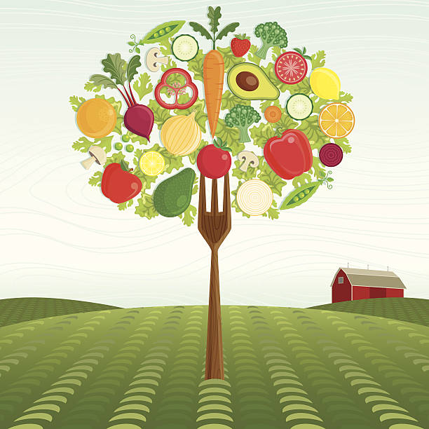 ilustraciones, imágenes clip art, dibujos animados e iconos de stock de harvest sanos - wood carrot vegetable farm