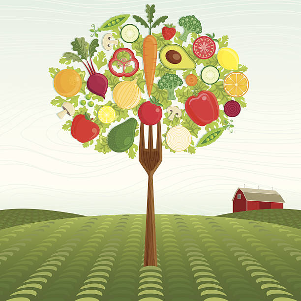 건강한 수확하다 - apple vegetable crop tree stock illustrations