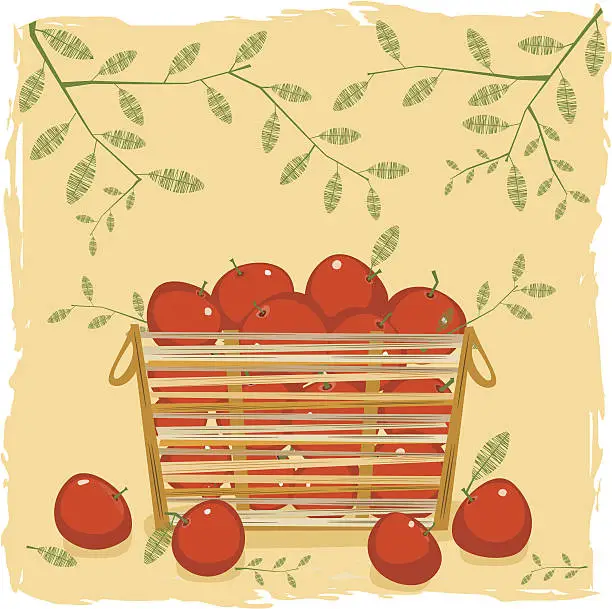 Vector illustration of Apples In Straw  Basket, Floral Background