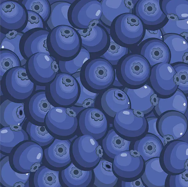 Vector illustration of Blueberry Background