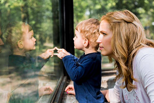 istock Beautiful woman holding her son 481969462