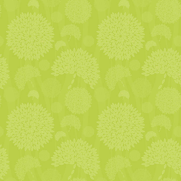 bezszwowe kwiat tło - chrysanthemum single flower flower pattern stock illustrations