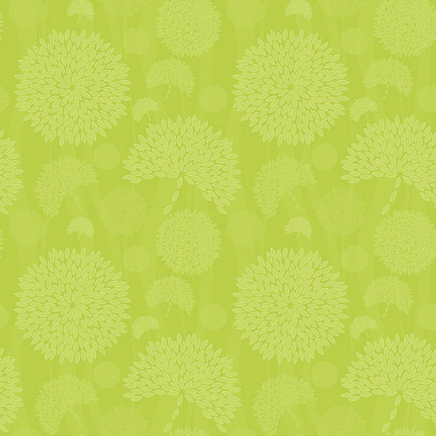 бесшовный цветочный фон - single flower chrysanthemum design plant stock illustrations