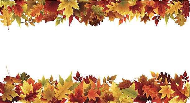 bildbanksillustrationer, clip art samt tecknat material och ikoner med fall border - autumn leaves