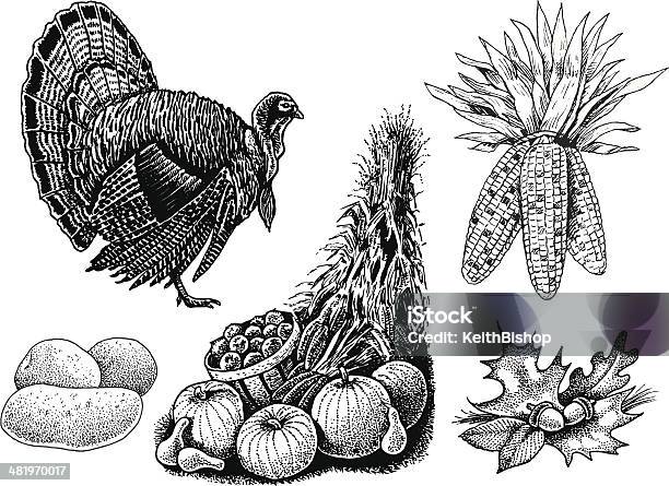 Thanksgiving Turkey Cornucopia And Leaves Stock Illustration - Download Image Now - Thanksgiving - Holiday, Illustration, Black And White