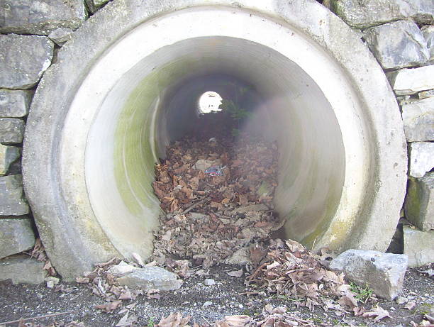 Culvert with Dead Leaves in a Park stock photo