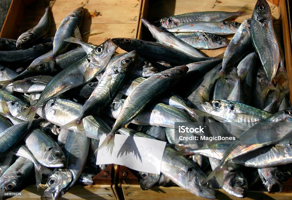 Fish For Sale in Sicily A pile of fish for sale on a stall in a Sicilian market 2015 Stock Photo