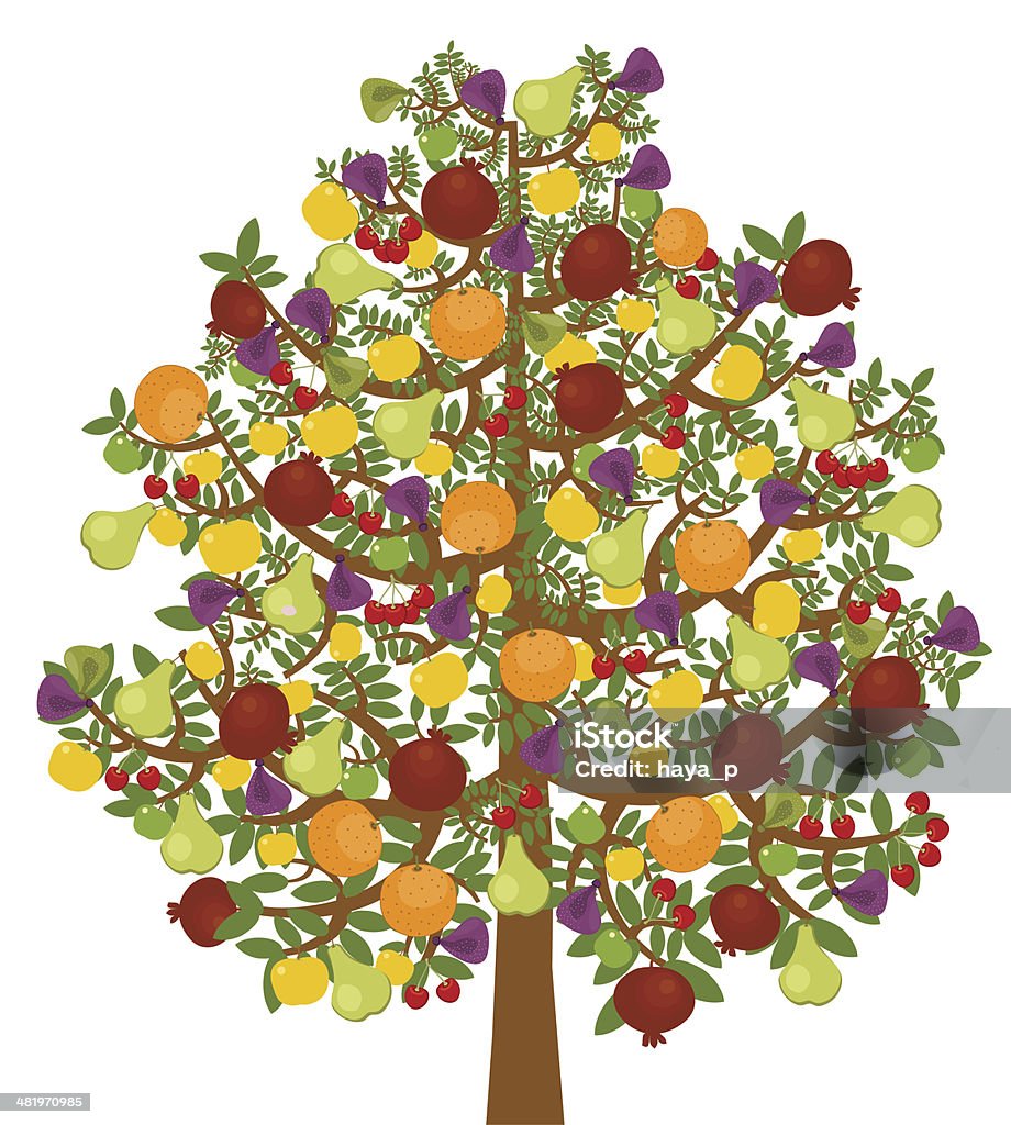 Miracke Плодовое дерево - Векторная графика Апельсин роялти-фри