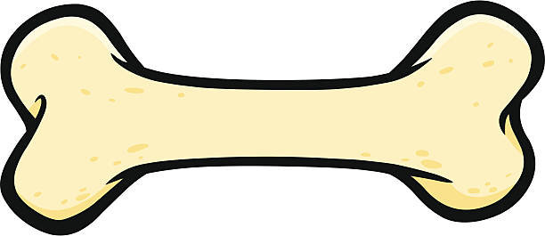 kość dla psa - kość stock illustrations