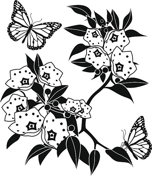 마운틴 로럴 및 monarch 나비 - 산 월계수 stock illustrations