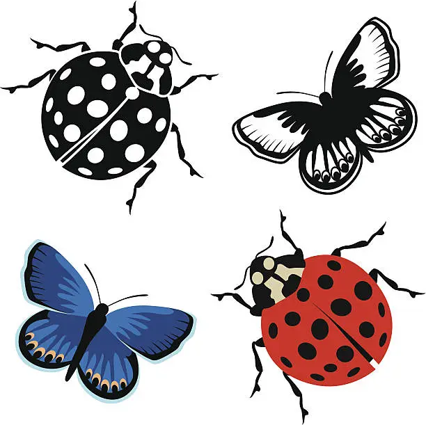 Vector illustration of ladybug and Karner blue butterfly