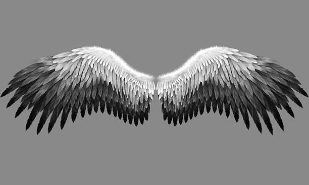 istock Wings of an angel 481972185