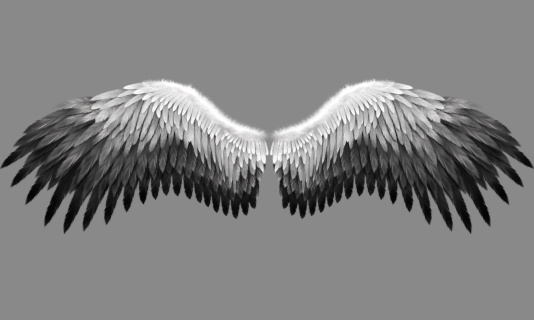 Wings of an angel are executed on a gray background for computer graphics in style the imagination.