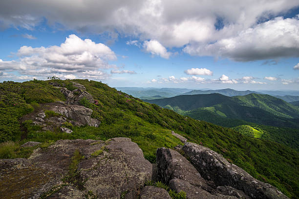 Roan Mountain Spring Rhododenron Blooms 6