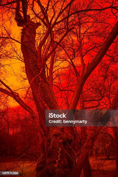 Surreal Tree Stock Photo - Download Image Now - 2015, Fire - Natural Phenomenon, Flame