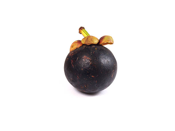 istock Mangosteen - Tropical Fruits Mangosteen on white background 481974708