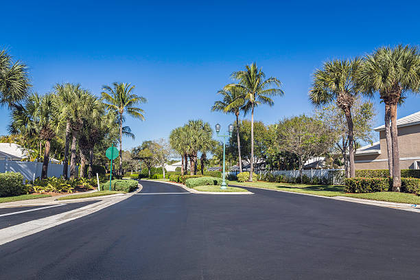 istock Gated community road in Florida 481975436
