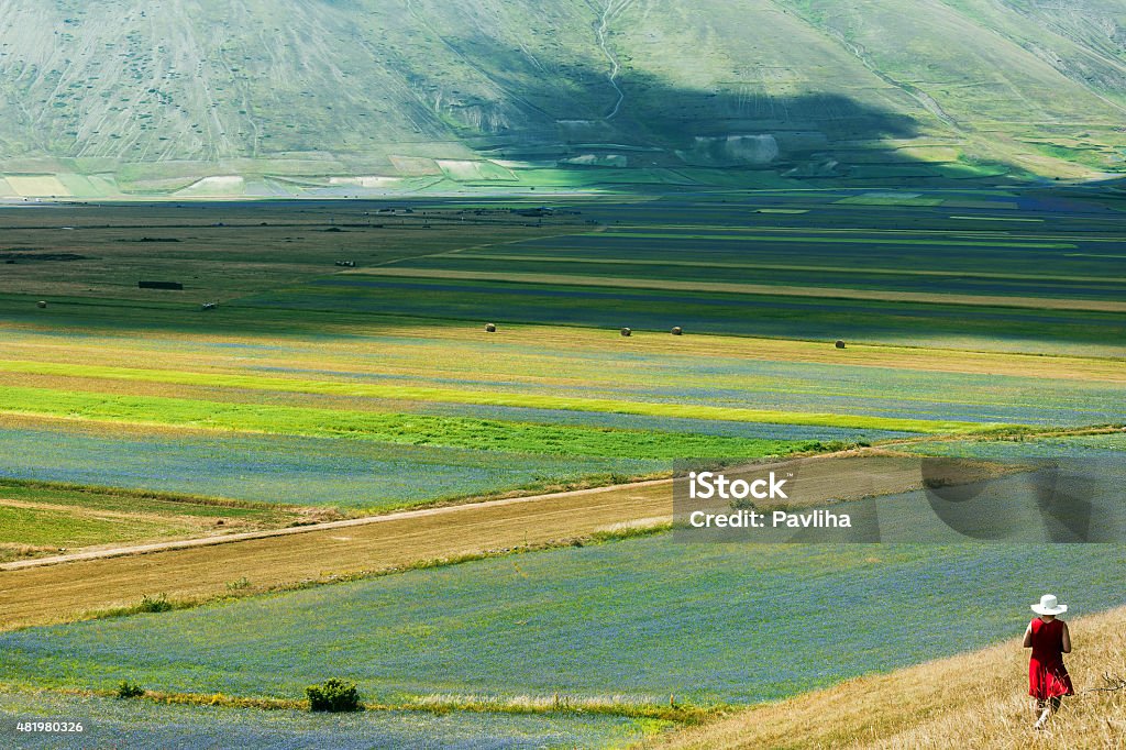 Photographer Wearing Red Dress abd White Hat near Castelluccio, Italy Woman wearing red dress and white hat photographing beautifull summer fields from a hill near Castelluccio di Norcia, Piano Grande (Perugia, Umbria, Italy) - The small old village in the Monti Sibillini Natural Park. Landscape at summer in a bright summer afternoon, with small stone chapel and cultivated fields and meadows. Nikon D3x Flower Stock Photo