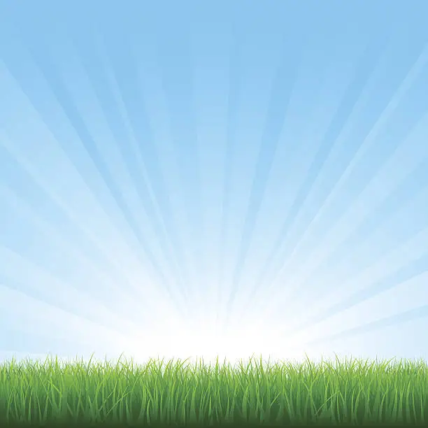 Vector illustration of Radiant grass background