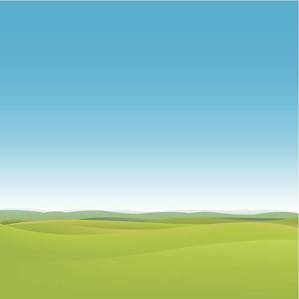 Green fields background Rolling green fields and a clear blue sky background rolling landscape stock illustrations