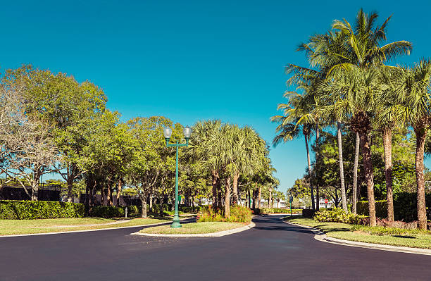 istock Gated community road in Florida 481987130