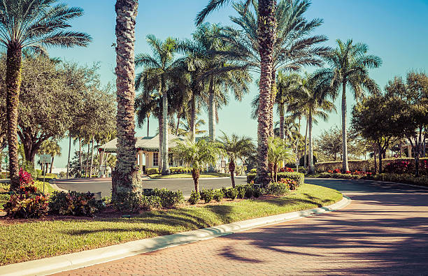 istock Road to gated community in South Florida 481987204