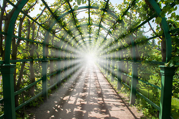 luz no fim do túnel verde - indirection imagens e fotografias de stock