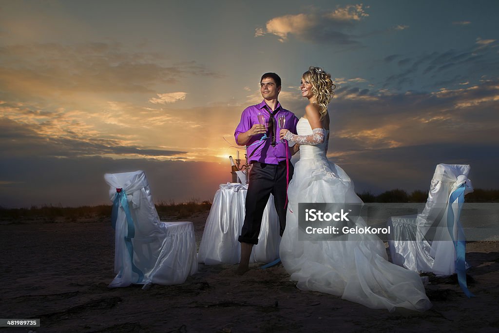 bride and groom making at sunset Closeup of bride and groom making a toast at sunset in the field outdoors Adult Stock Photo