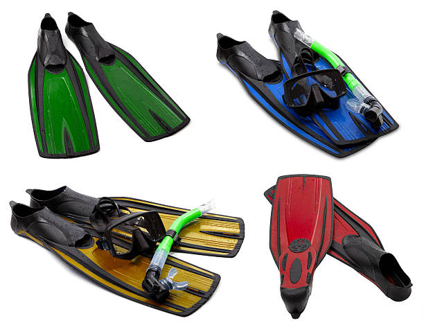 istock Set of multicolored flippers, masks, snorkel for diving with wat 481991053