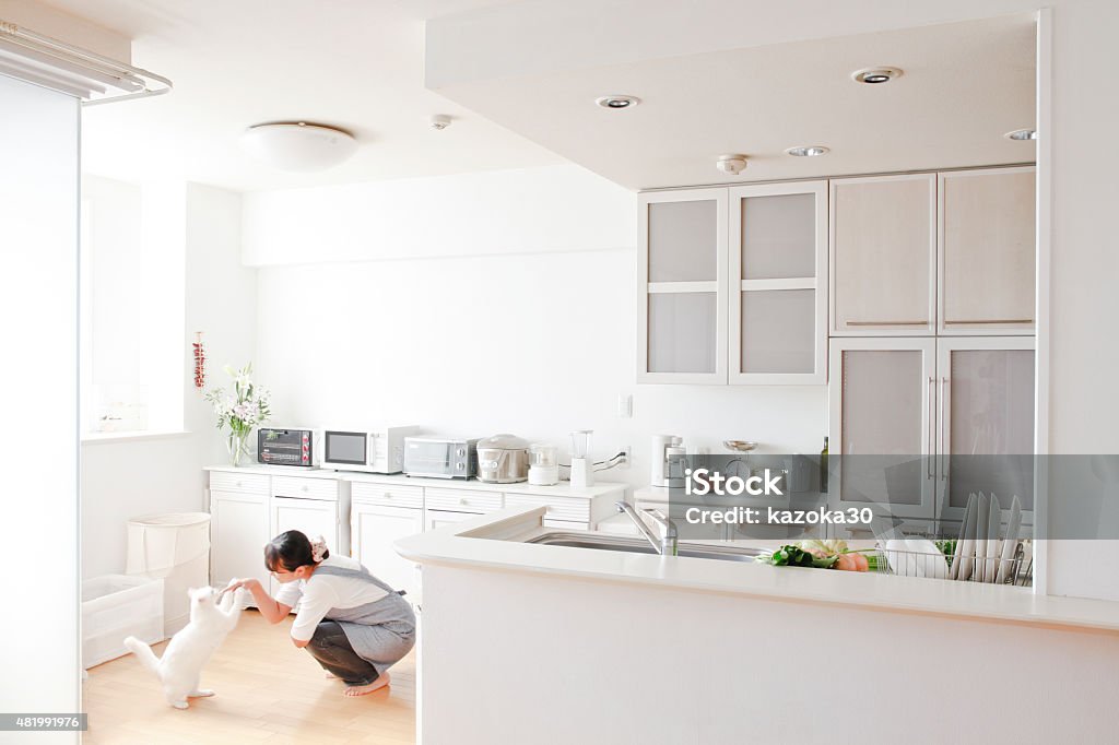 Live with pets Bright and simple kitchen Domestic Cat Stock Photo
