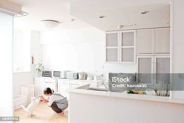 Live With Pets Stock Photo - Download Image Now - Domestic Cat, Kitchen, Lifestyles