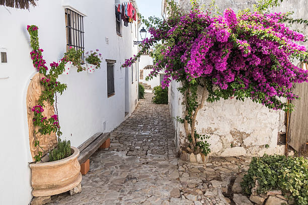 istock Castellar de la Frontera streets, Andalusia, Spain 481994740