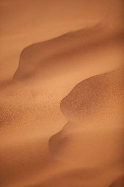 istock Ripples on a sand dune in the Sahara Desert. 481994758