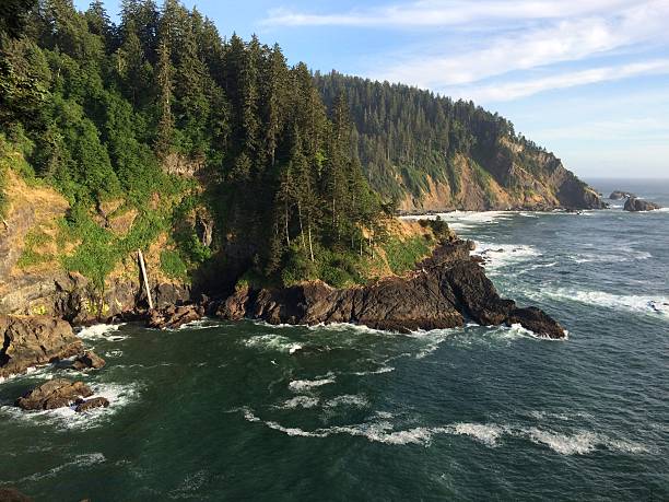 istock Hart's Cove on the Oregon Coast 481994784