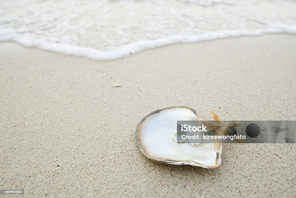 wedding rings on the shell with by beach background 2015 Stock Photo