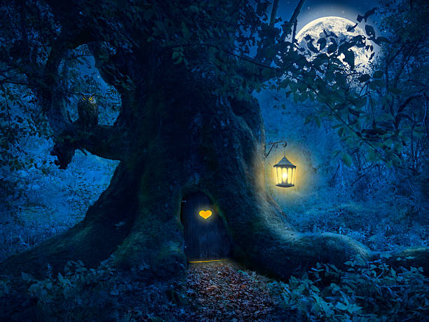 Tree home in the magic forest stock photo