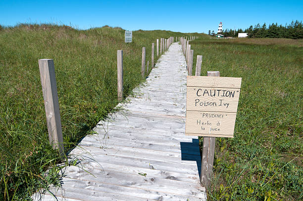 Poison Ivy Warning Sign at Beach on PEI