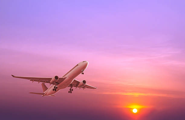 istock Commercial airplane flying at sunset 481999450