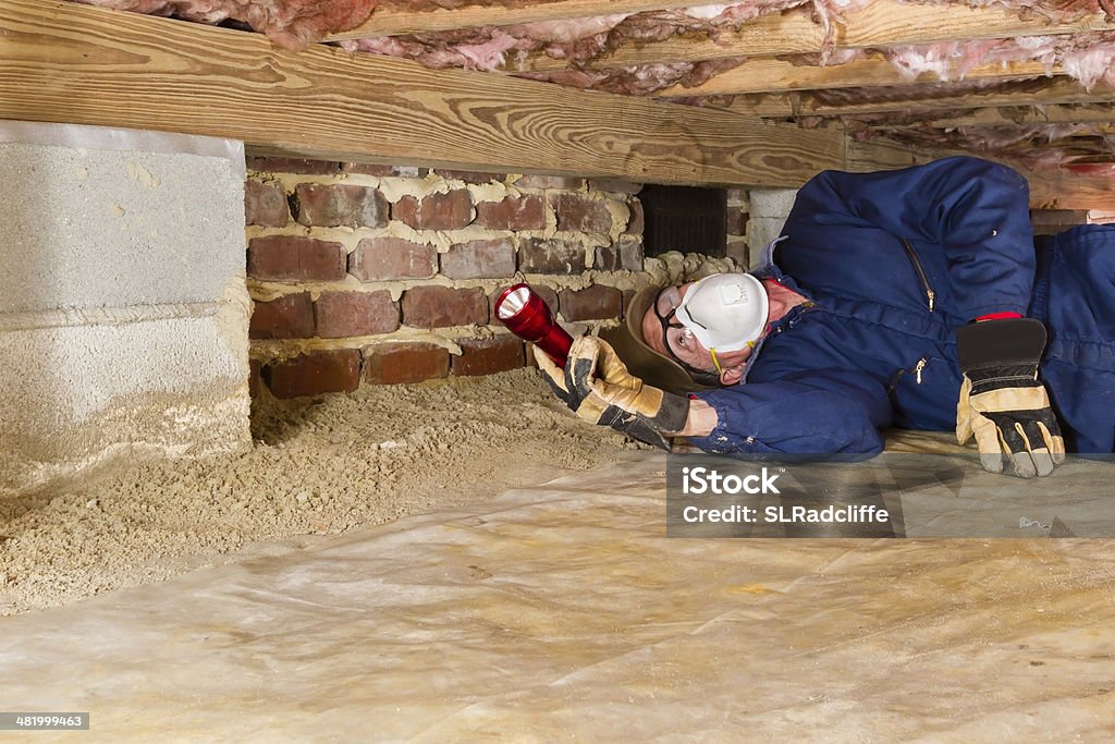 Man inspecting for termites in crawl space Termite inspector in residential crawl space inspects a sill for termites. Examining Stock Photo