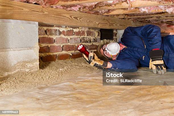 Man Inspecting For Termites In Crawl Space Stock Photo - Download Image Now - Examining, Quality Control, Crawl Space
