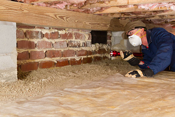 Home inspector looks for termites in residential home's crawl space