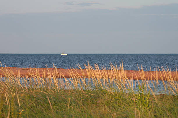 istock Fishing Boat by PEI Shoreline 481999569