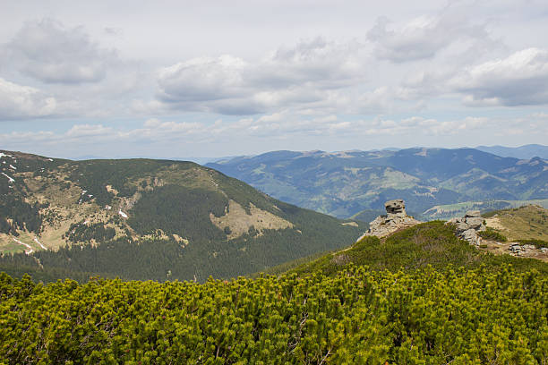 istock Beautiful spring landscape in Carpathians mountains. Ukraine. 481999894