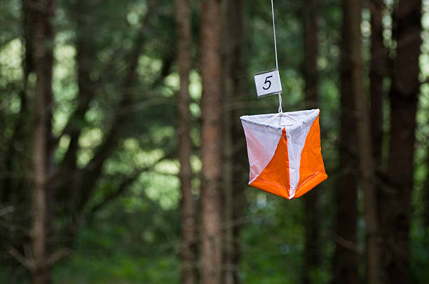 Orienteering flag stock photo