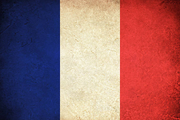 istock Grunge Flag of France 482003508