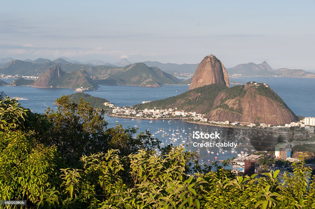 Sugarloaf Mountain, Rio de Janeiro View of the Sugarloaf Mountain through the green plants, Rio de Janeiro, Brazil. Sugarloaf Mountain Stock Photo